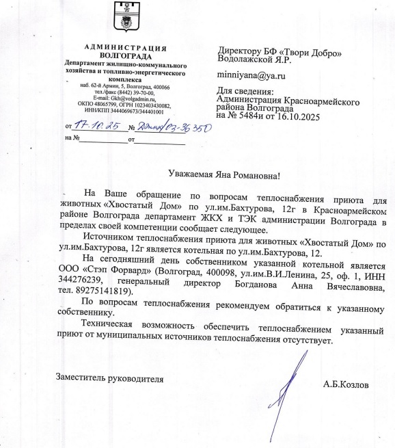 Волгоградский приют с президентским грантом брошен без тепла и без поддержки