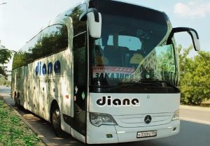 Бастрыкин усомнился в заявленном банкротстве турфирмы «Диана Тур»