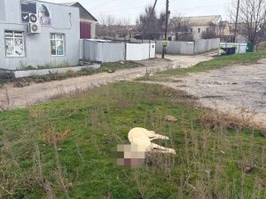 На глазах у детей в Ерзовке застрелили собаку: жители требуют справедливости
