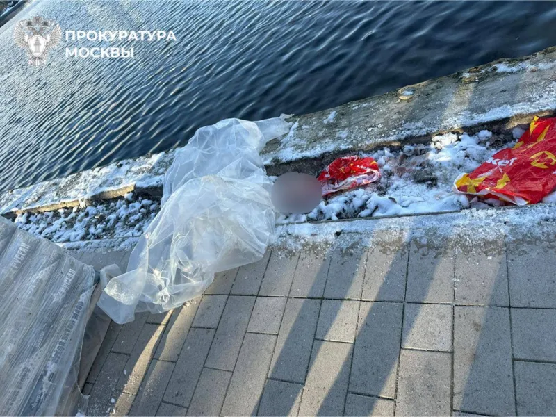 Голову ребёнка нашли в рюкзаке у московского пруда: раскрыты детали жестокого убийства в Балашихе