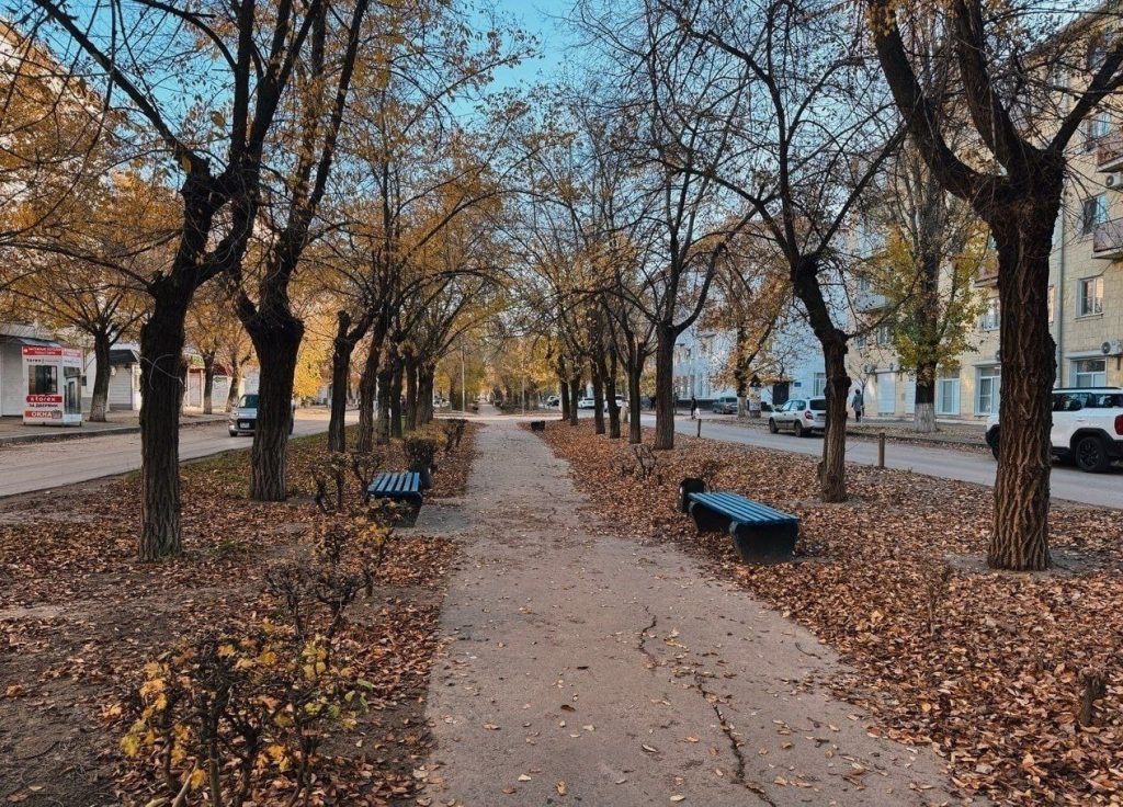 Проспект Канатчиков в Волгограде превратят в современный прогулочный парк