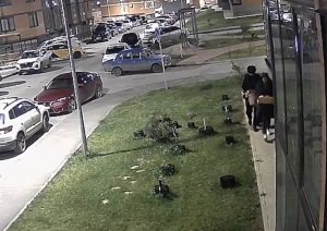 «Украли кашпо и тыквы»: во дворе «Колизея» в Волгограде орудует пара на «баклажановых» Жигулях