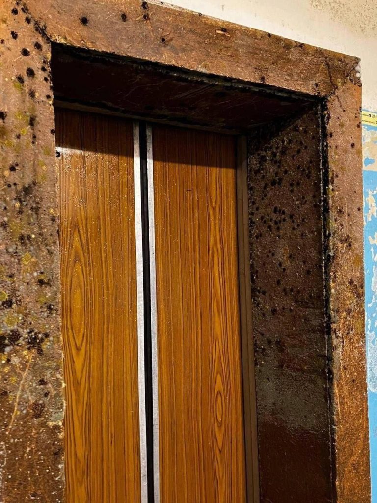 Плесень в общежитии ВГСПУ №2: Роспотребнадзор готовит внеплановую проверку