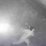 В Иловле задержан 23-летний парень, бросивший бутылку с зажигательной смесью в офис МФО