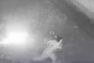 В Иловле задержан 23-летний парень, бросивший бутылку с зажигательной смесью в офис МФО