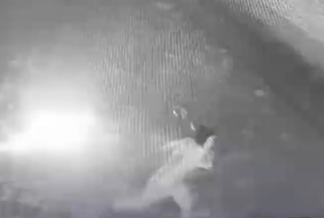 В Иловле задержан 23-летний парень, бросивший бутылку с зажигательной смесью в офис МФО