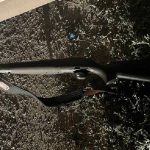 В Волгоградской области браконьер застрелил лося, используя чужое оружие