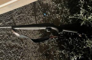 В Волгоградской области браконьер застрелил лося, используя чужое оружие