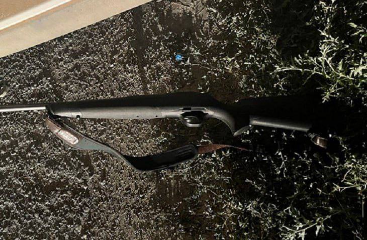 В Волгоградской области браконьер застрелил лося, используя чужое оружие