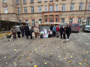 Волгоградский приют с президентским грантом брошен без тепла и без поддержки