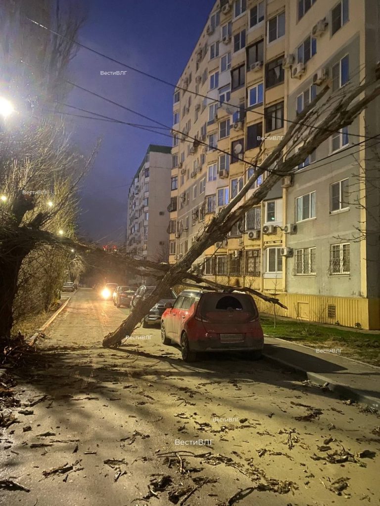 Штормовой ветер повалил дерево во дворе дома №10 на Ангарском