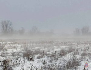 СК проверяет гибель четырех пастухов, спасавших стадо в метель под Волгоградом