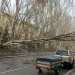 Шторм в Волгограде: более 50 единиц техники устраняют последствия непогоды