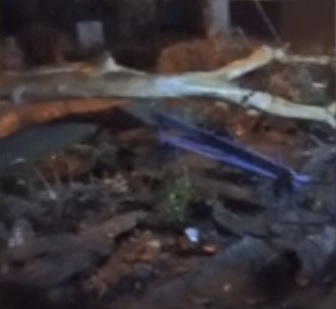 В Дзержинском районе Волгограда дерево рухнуло на детскую площадку у жилого дома