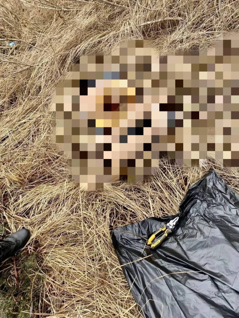 Убийство в Волгограде: водолазы обнаружили голову женщины в Волге