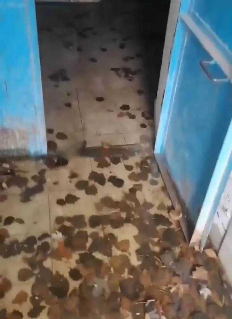 Кипяток вместо помощи: аварийный дом в Волгограде заливает раскалённой водой