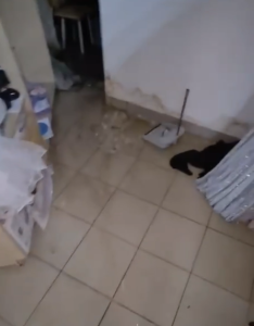 Кипяток затапливает дом и свадебный салон на улице Мира в Волгограде