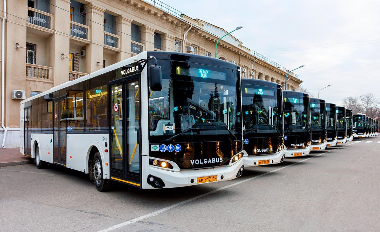 Новые автобусы Волгабас вышли на маршруты Волгограда и Волжского