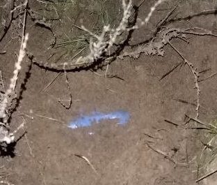 Оперативники накрыли закладчиков с марихуаной в Краснооктябрьском районе