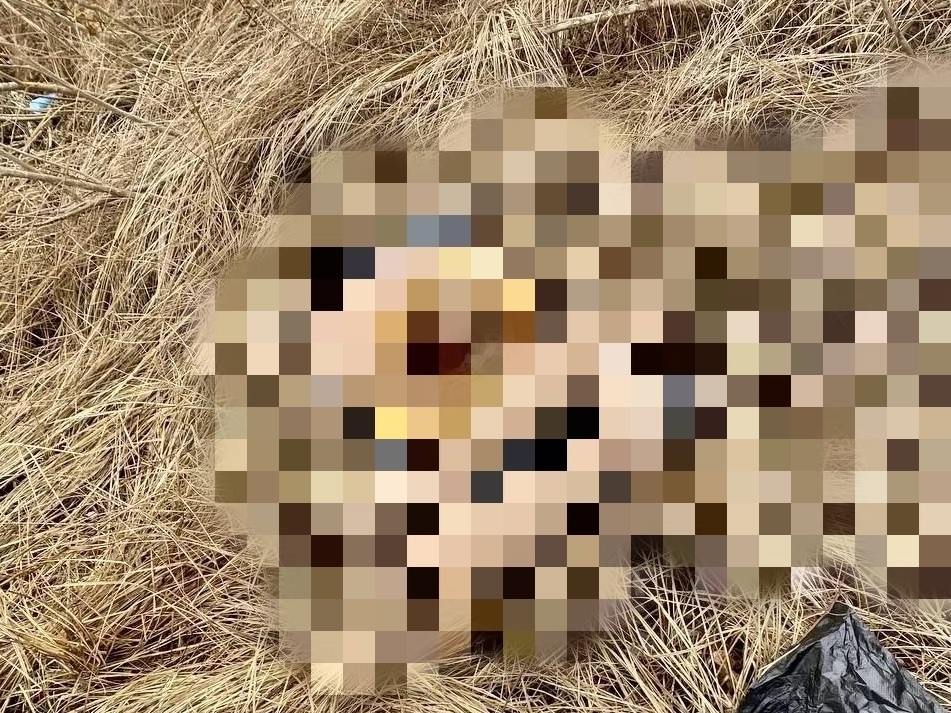 Убийство в Волгограде: водолазы обнаружили голову женщины в Волге