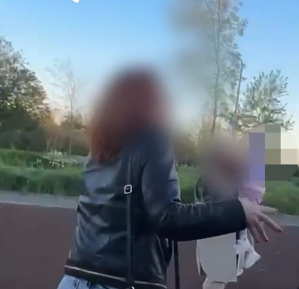 Преподаватель Волгоградской академии МВД устроила скандал на детской площадке в Мариуполе