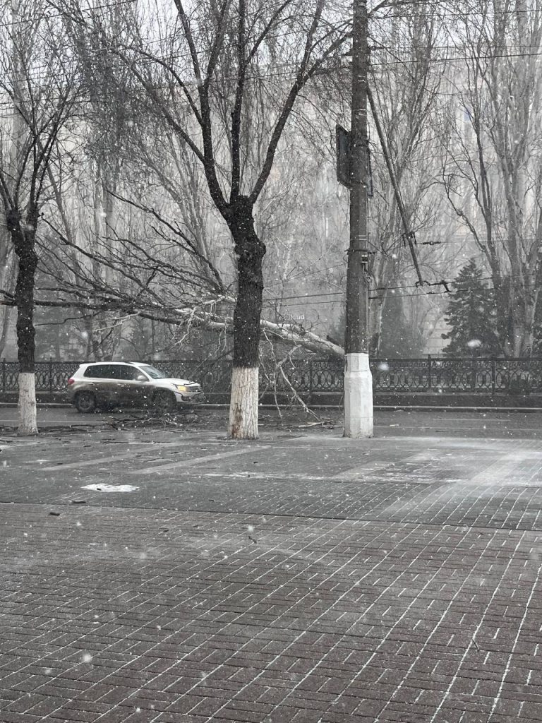 На Первой Продольной у Комсомольской в Волгограде дерево рухнуло на проезжую часть