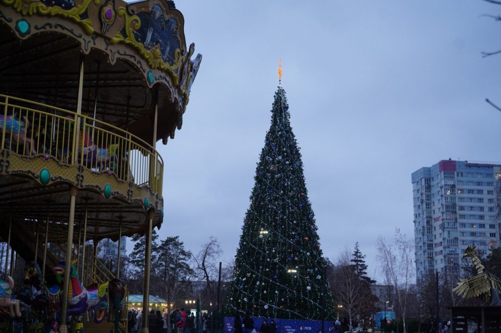 В Центральном парке культуры и отдыха Волгограда зажгли главную новогоднюю ёлку