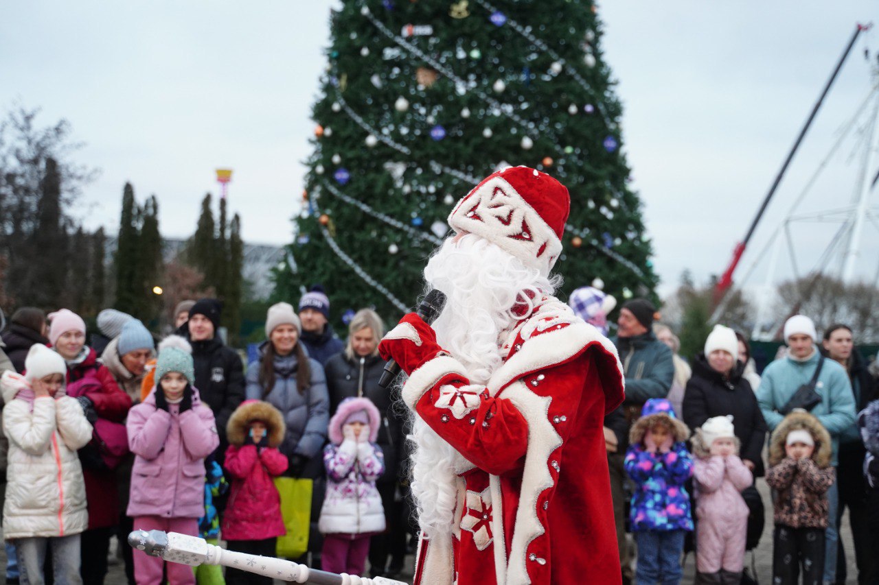 В Центральном парке культуры и отдыха Волгограда зажгли главную новогоднюю ёлку