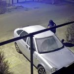 Полиция Дубовского района раскрыла поджог автомобиля и задержала 45-летнего жителя