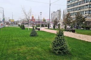 Скверы и парки: в Волгограде и Волжском завершили благоустройство новых пространств