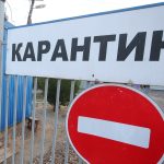 В Волгоградской области зафиксирована новая вспышка бешенства