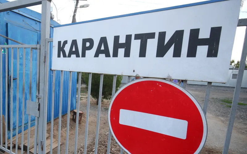 В Волгоградской области зафиксирована новая вспышка бешенства