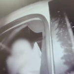 В Еланском районе задержали 10-летнего водителя с пьяным отцом в машине