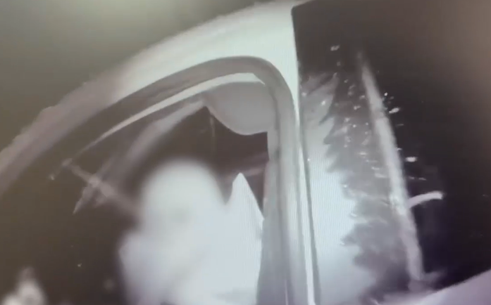 В Еланском районе задержали 10-летнего водителя с пьяным отцом в машине