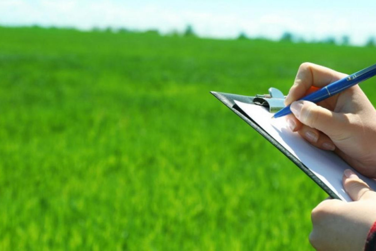 Земли заповедников смогут изымать под оборону и инфраструктуру