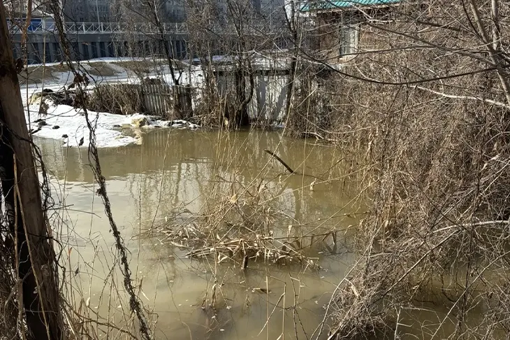 Подтопление домов на улице Карагандинской в Волгограде: жители требуют срочных мер