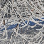 Жёлтое предупреждение в Волгоградской области: штормовой ветер, гололёд и туман до 17 февраля