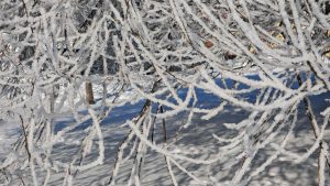 Жёлтое предупреждение в Волгоградской области: штормовой ветер, гололёд и туман до 17 февраля