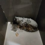 Массовый бойкот «Додо Пиццы» после увольнения сотрудника в Челябинске