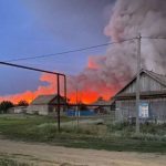 Многодетная семья из Волгоградской области осталась без денег из-за долга 555 млн рублей за лесной пожар