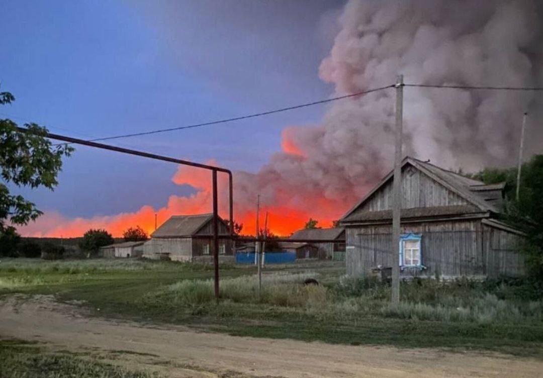 Многодетная семья из Волгоградской области осталась без денег из-за долга 555 млн рублей за лесной пожар