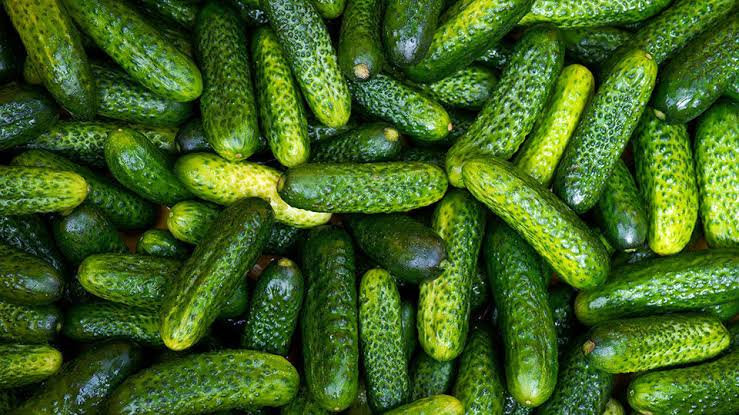 Огурцы по 500 рублей: в Волгограде овощи стали дороже экзотических фруктов