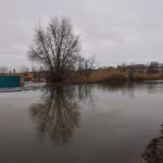 В Волгоградской области вода вышла на пойму: подтопления зафиксированы в нескольких районах