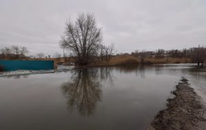 В Волгоградской области вода вышла на пойму: подтопления зафиксированы в нескольких районах
