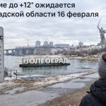 Потепление до +12 ожидается в Волгоградской области 16 февраля