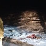 В Ленинском районе задержали подозреваемых в отстреле сайгаков