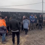 32 человека доставлены в полицию после миграционного рейда под Волгоградом