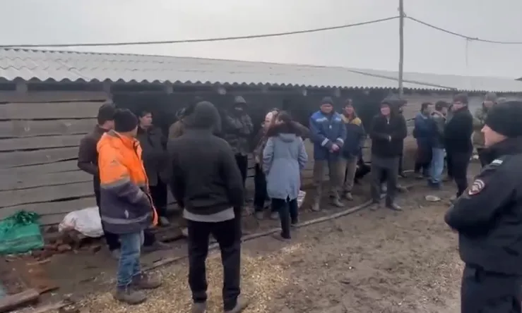 32 человека доставлены в полицию после миграционного рейда под Волгоградом