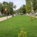 В Волгограде благоустроят последний участок бульвара на проспекте Металлургов