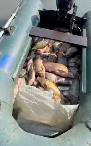 Инспектор ГИМС в Волгоградской области попался на браконьерстве и взятках